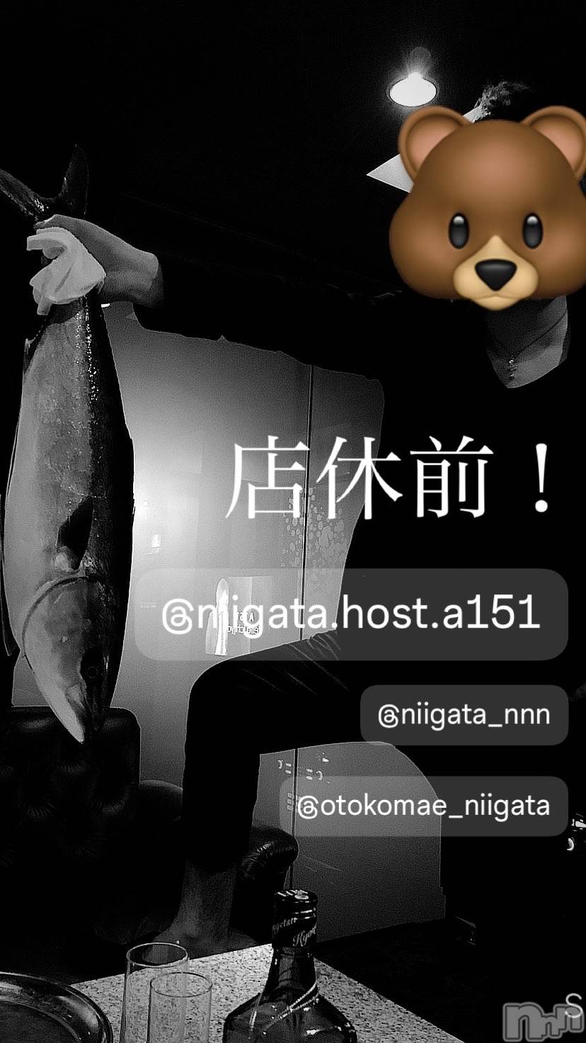 ��Į�ۥ��ȡ��ܡ������С�A151(�����������ݥ���) ��2024ǯ7��29���̥�֥����ַ�������