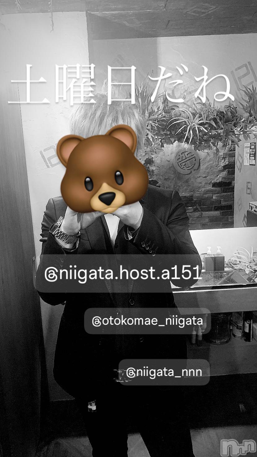 ��Į�ۥ��ȡ��ܡ������С�A151(�����������ݥ���) ��2024ǯ8��3���̥�֥�������������