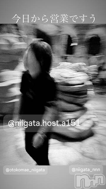 ��Į�ۥ��ȡ��ܡ������С�A151(�����������ݥ���) ��2024ǯ8��16���̥�֥����ֶ�������