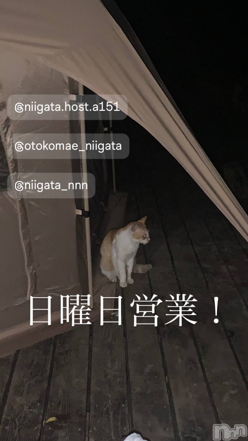 ��Į�ۥ��ȡ��ܡ������С�A151(�����������ݥ���) ��2024ǯ8��18���̥�֥�������������