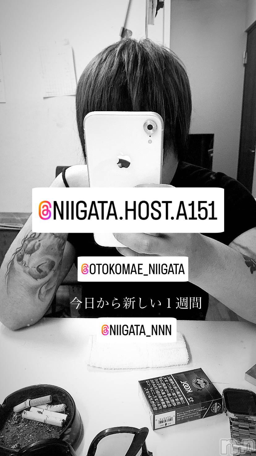 ��Į�ۥ��ȡ��ܡ������С�A151(�����������ݥ���) ��2024ǯ8��21���̥�֥����ֿ�������