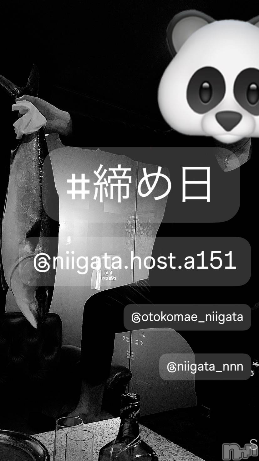 ��Į�ۥ��ȡ��ܡ������С�A151(�����������ݥ���) ��2024ǯ8��31���̥�֥�������������