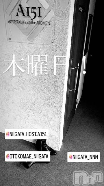 ��Į�ۥ��ȡ��ܡ������С�A151(�����������ݥ���) ��2024ǯ9��5���̥�֥�������������