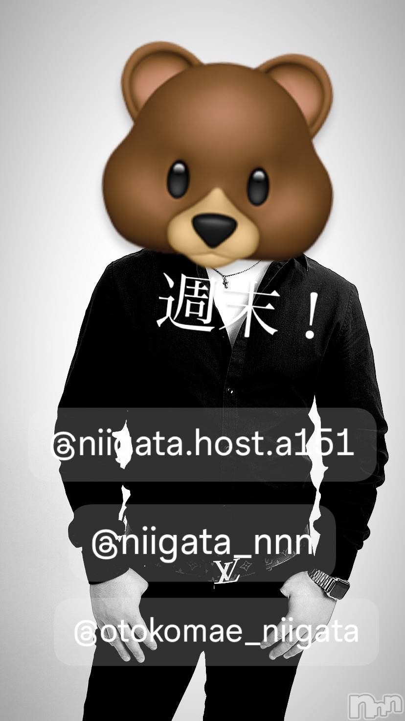 ��Į�ۥ��ȡ��ܡ������С�A151(�����������ݥ���) ��2024ǯ9��6���̥�֥����ֶ�������