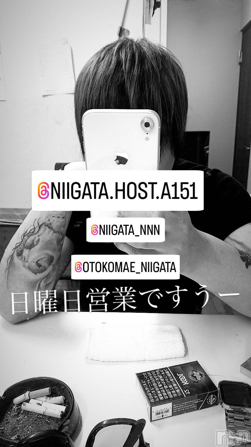 ��Į�ۥ��ȡ��ܡ������С�A151(�����������ݥ���) ��2024ǯ9��8���̥�֥�������������