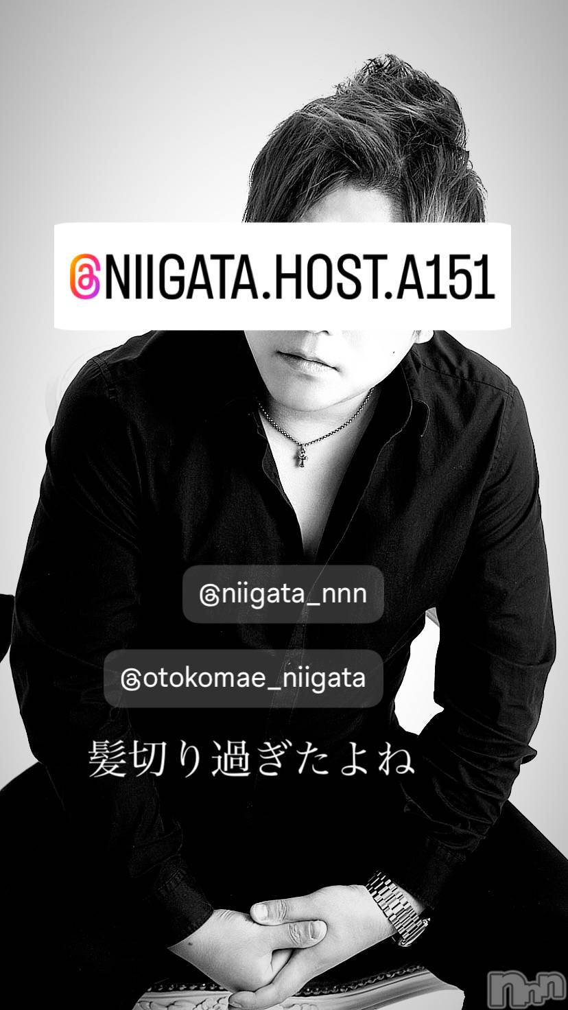 ��Į�ۥ��ȡ��ܡ������С�A151(�����������ݥ���) ��2024ǯ9��11���̥�֥����ֿ�������