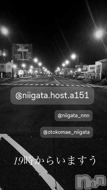 ��Į�ۥ��ȡ��ܡ������С�A151(�����������ݥ���) ��2024ǯ9��12���̥�֥�������������