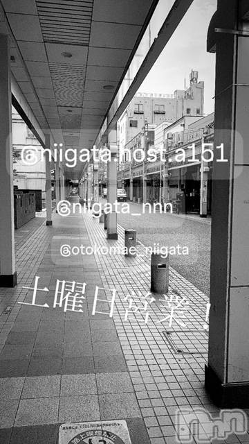 ��Į�ۥ��ȡ��ܡ������С�A151(�����������ݥ���) ��2024ǯ9��14���̥�֥�������������