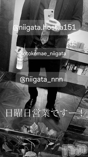 ��Į�ۥ��ȡ��ܡ������С�A151(�����������ݥ���) ��2024ǯ9��15���̥�֥�������������