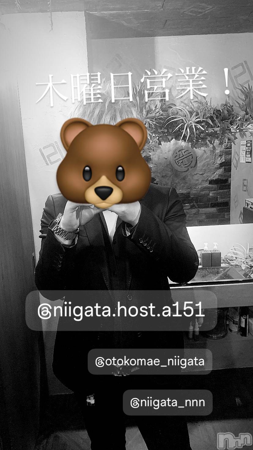 ��Į�ۥ��ȡ��ܡ������С�A151(�����������ݥ���) ��2024ǯ9��19���̥�֥�������������