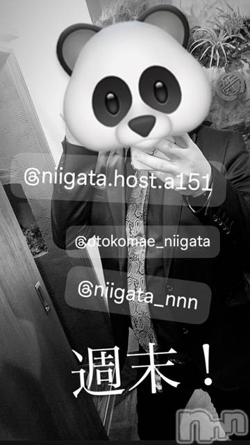 ��Į�ۥ��ȡ��ܡ������С�A151(�����������ݥ���) ��2024ǯ9��20���̥�֥����ֶ�������