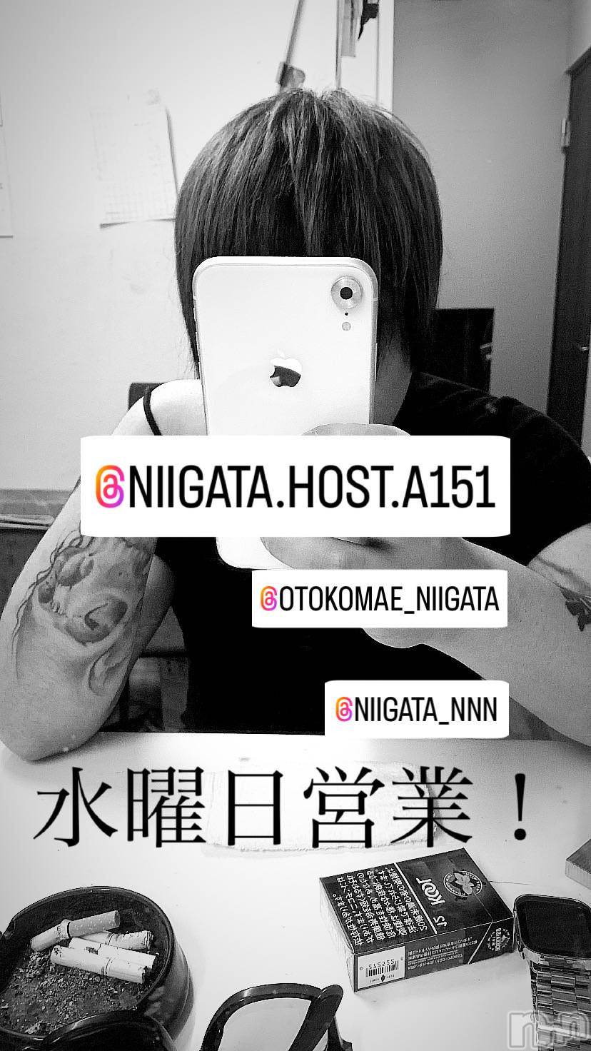 ��Į�ۥ��ȡ��ܡ������С�A151(�����������ݥ���) ��2024ǯ10��9���̥�֥����ֿ�������