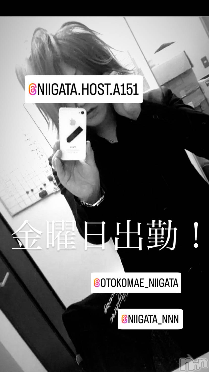 ��Į�ۥ��ȡ��ܡ������С�A151(�����������ݥ���) ��2024ǯ10��11���̥�֥����ֶ�������