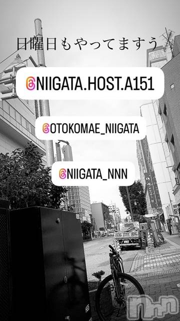 ��Į�ۥ��ȡ��ܡ������С�A151(�����������ݥ���) ��2024ǯ10��20���̥�֥�������������