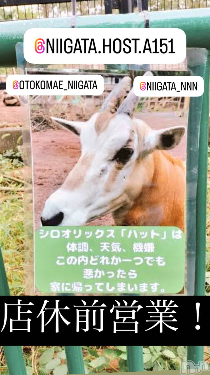 ��Į�ۥ��ȡ��ܡ������С�A151(�����������ݥ���) ��2024ǯ10��21���̥�֥����ַ�������