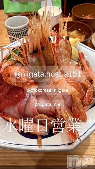 ��Į�ۥ��ȡ��ܡ������С�A151(�����������ݥ���) ��2024ǯ10��30���̥�֥����ֿ�������