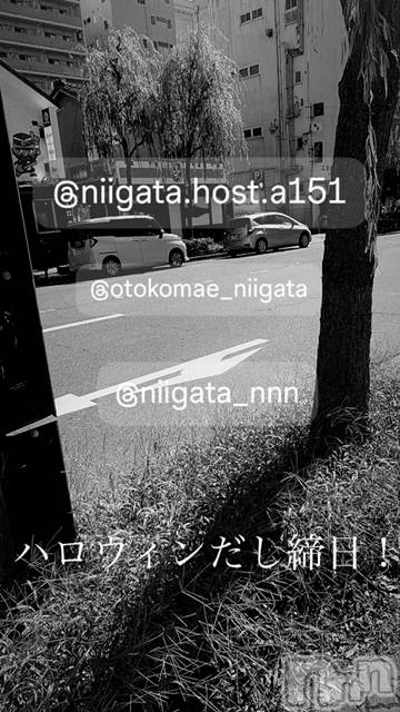 ��Į�ۥ��ȡ��ܡ������С�A151(�����������ݥ���) ��2024ǯ10��31���̥�֥�������������