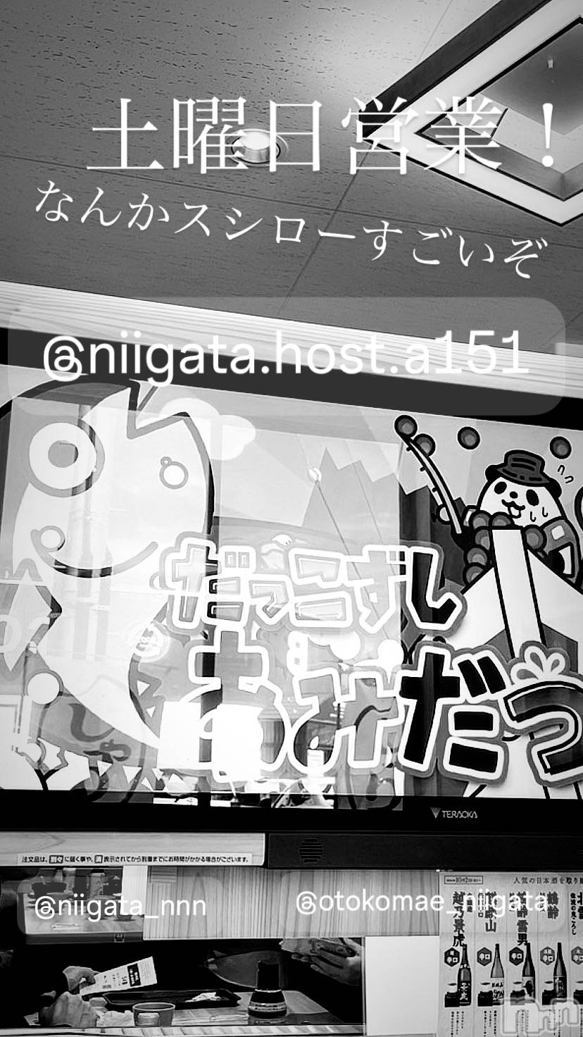 ��Į�ۥ��ȡ��ܡ������С�A151(�����������ݥ���) ��2024ǯ11��16���̥�֥�������������