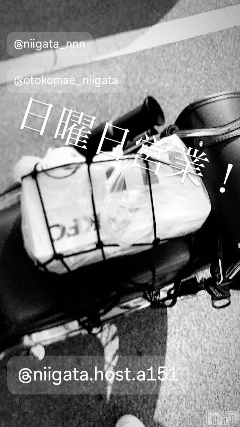 ��Į�ۥ��ȡ��ܡ������С�A151(�����������ݥ���) ��2024ǯ11��24���̥�֥�������������