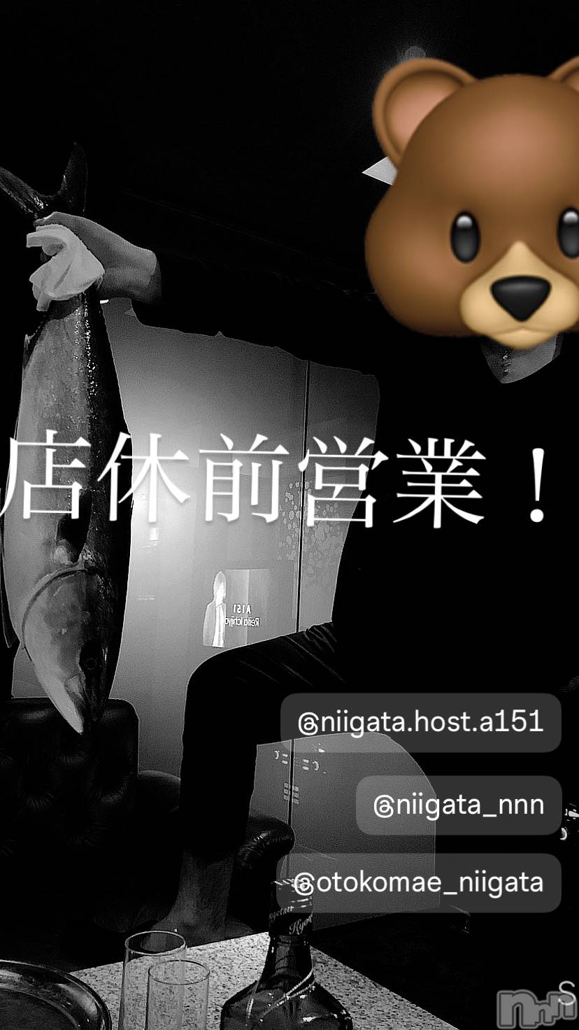 ��Į�ۥ��ȡ��ܡ������С�A151(�����������ݥ���) ��2024ǯ11��25���̥�֥����ַ�������