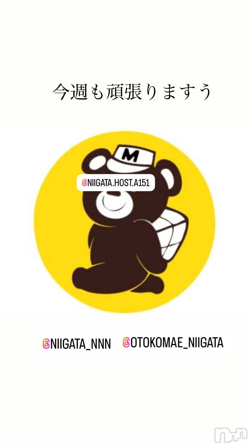 ��Į�ۥ��ȡ��ܡ������С�A151(�����������ݥ���) ��2024ǯ11��27���̥�֥����ֿ�������