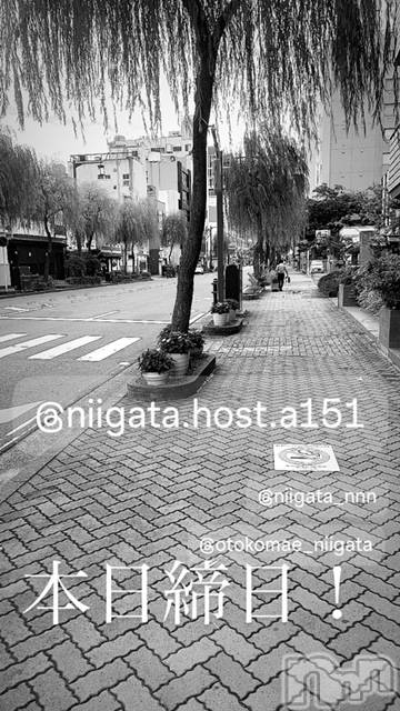 ��Į�ۥ��ȡ��ܡ������С�A151(�����������ݥ���) ��2024ǯ11��30���̥�֥�������������