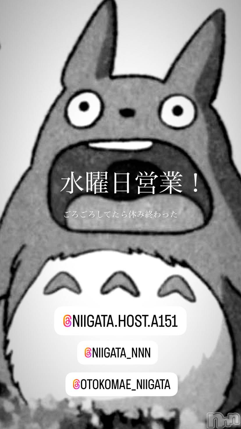 ��Į�ۥ��ȡ��ܡ������С�A151(�����������ݥ���) ��2024ǯ12��4���̥�֥����ֿ�������