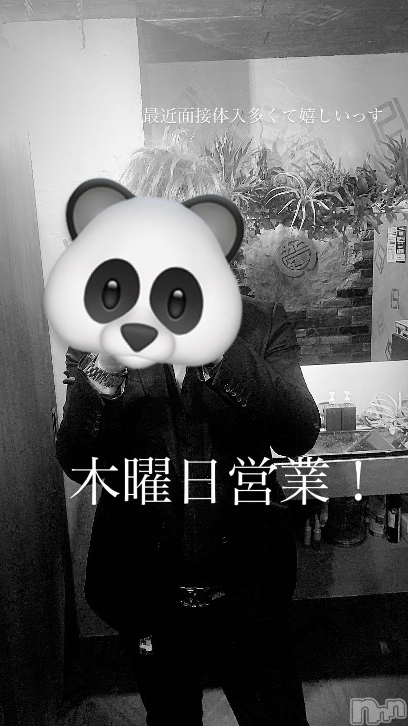 ��Į�ۥ��ȡ��ܡ������С�A151(�����������ݥ���) ��2024ǯ12��5���̥�֥�������������