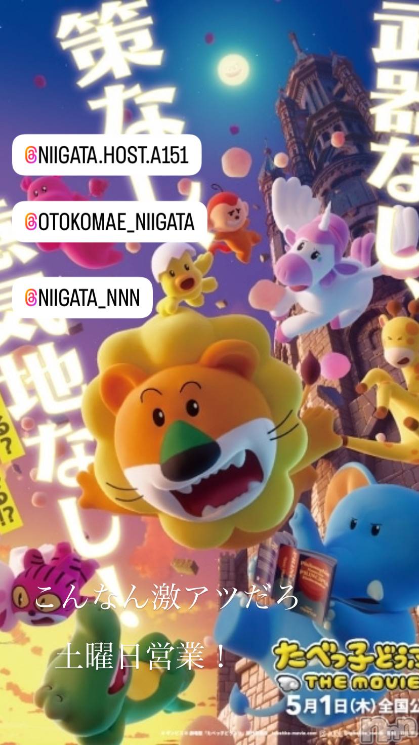 ��Į�ۥ��ȡ��ܡ������С�A151(�����������ݥ���) ��2024ǯ12��14���̥�֥�������������