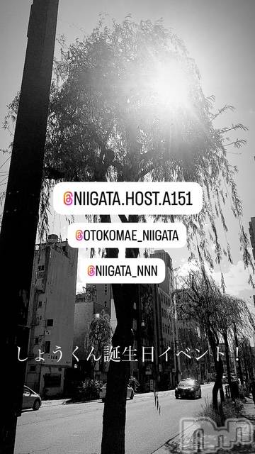 ��Į�ۥ��ȡ��ܡ������С�A151(�����������ݥ���) ��2024ǯ12��15���̥�֥�������������