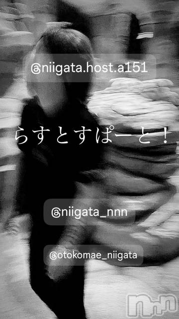 ��Į�ۥ��ȡ��ܡ������С�A151(�����������ݥ���) ��2024ǯ12��26���̥�֥�������������