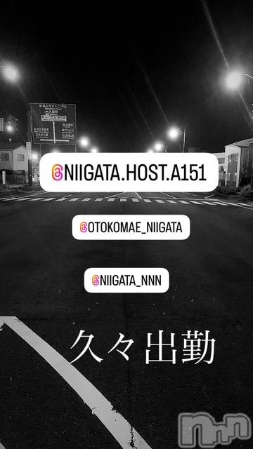 ��Į�ۥ��ȡ��ܡ������С�A151(�����������ݥ���) ��2025ǯ1��5���̥�֥�������������