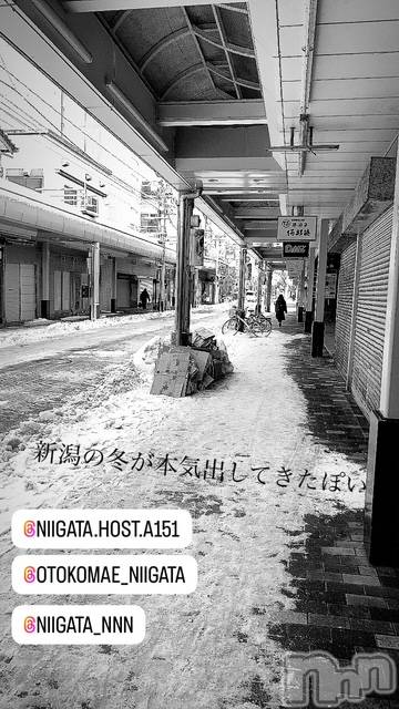 ��Į�ۥ��ȡ��ܡ������С�A151(�����������ݥ���) ��2025ǯ1��8���̥�֥����ֿ�������