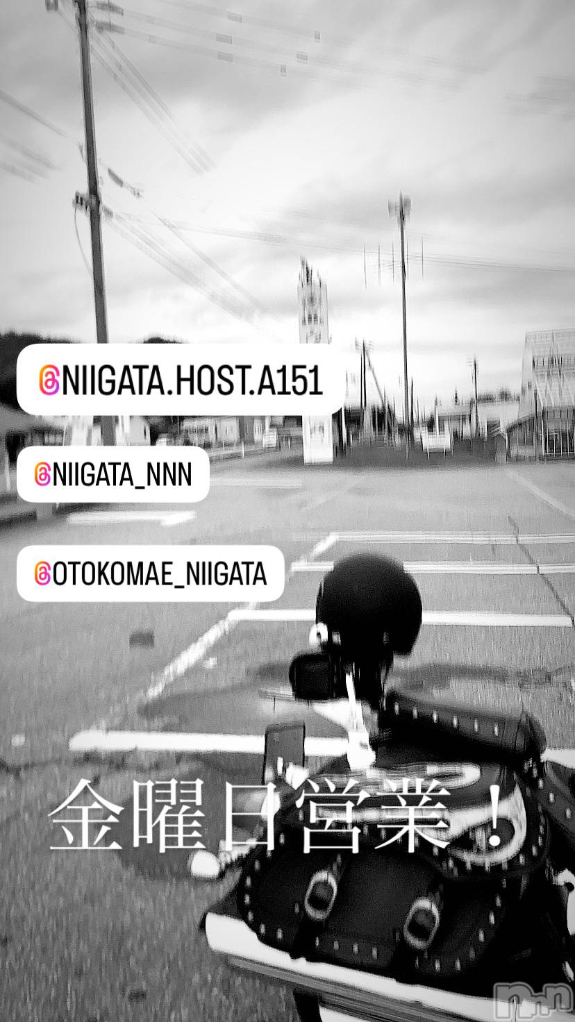 ��Į�ۥ��ȡ��ܡ������С�A151(�����������ݥ���) ��2025ǯ1��10���̥�֥����ֶ�������