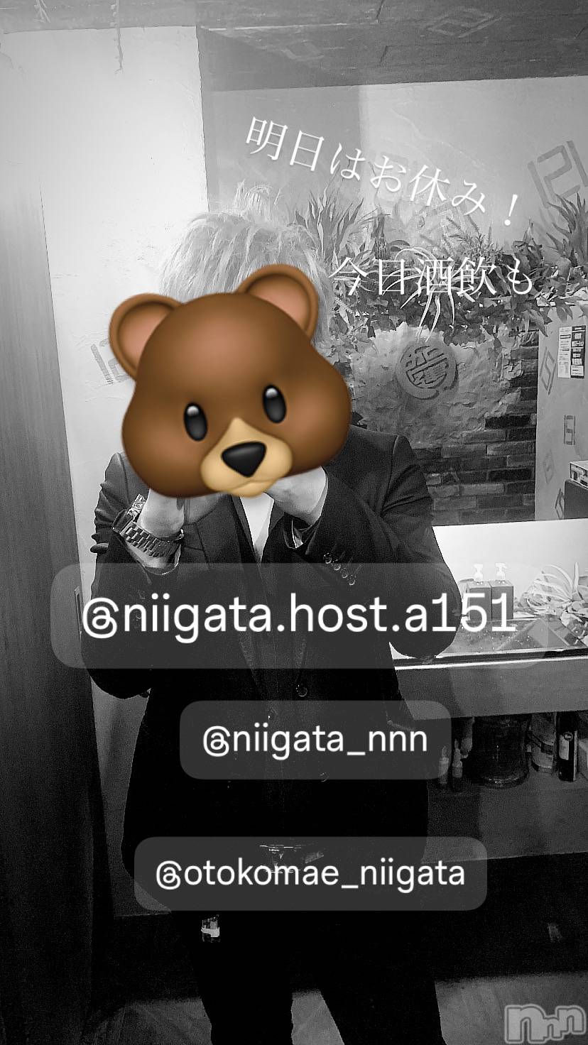 ��Į�ۥ��ȡ��ܡ������С�A151(�����������ݥ���) ��2025ǯ1��12���̥�֥�������������