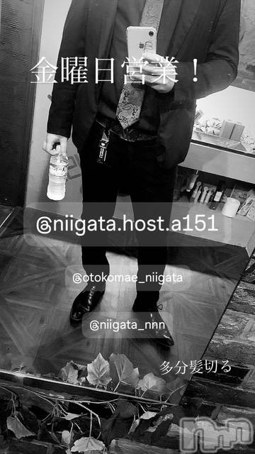 ��Į�ۥ��ȡ��ܡ������С�A151(�����������ݥ���) ��2025ǯ1��17���̥�֥����ֶ�������