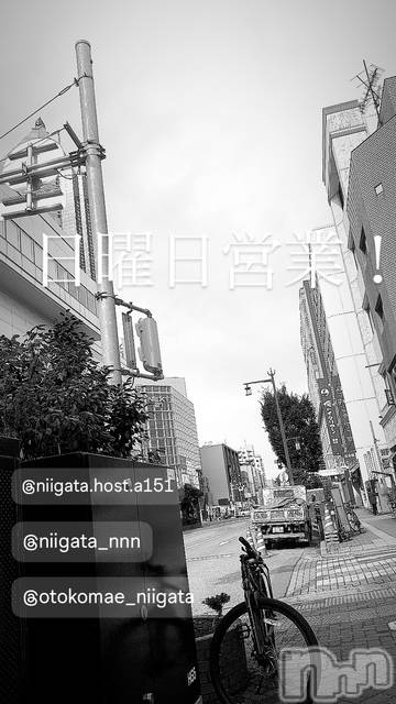 ��Į�ۥ��ȡ��ܡ������С�A151(�����������ݥ���) ��2025ǯ1��26���̥�֥�������������