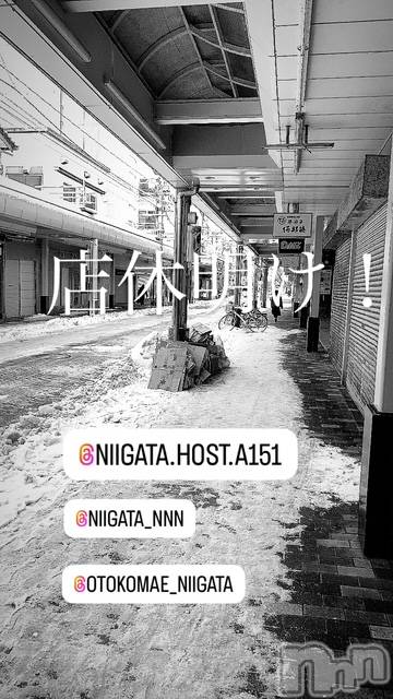 ��Į�ۥ��ȡ��ܡ������С�A151(�����������ݥ���) ��2025ǯ1��29���̥�֥����ֿ�������