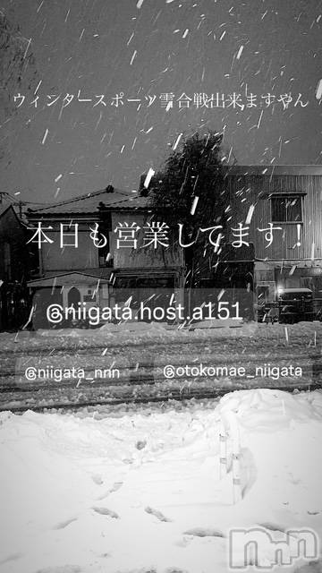 ��Į�ۥ��ȡ��ܡ������С�A151(�����������ݥ���) ��2025ǯ2��8���̥�֥�������������