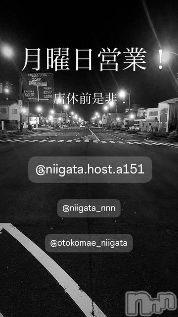 ��Į�ۥ��ȡ��ܡ������С�A151(�����������ݥ���) ��2025ǯ2��10���̥�֥����ַ�������