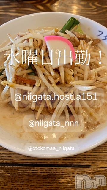 ��Į�ۥ��ȡ��ܡ������С�A151(�����������ݥ���) ��2025ǯ2��12���̥�֥����ֿ�������