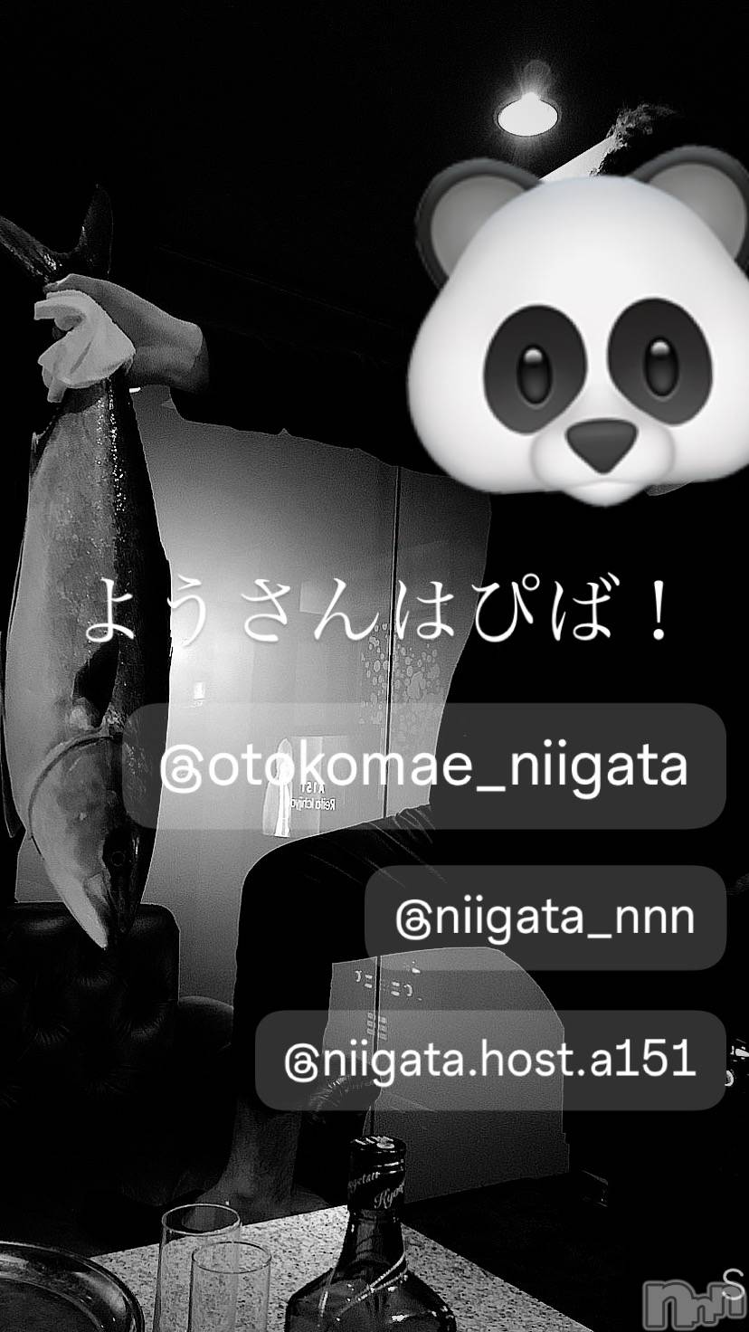 ��Į�ۥ��ȡ��ܡ������С�A151(�����������ݥ���) ��2025ǯ2��14���̥�֥����ֶ�������