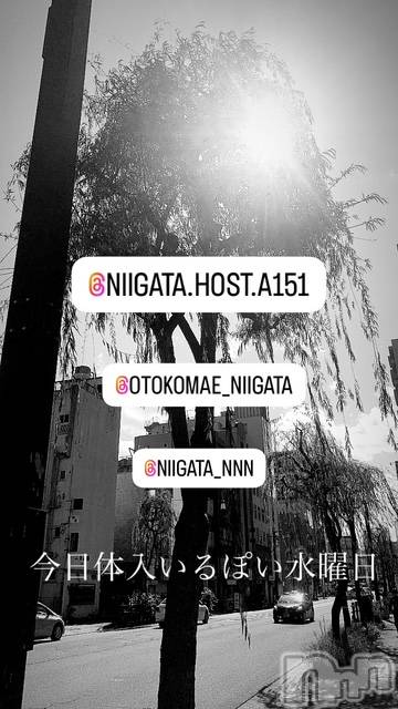 ��Į�ۥ��ȡ��ܡ������С�A151(�����������ݥ���) ��2025ǯ2��19���̥�֥����ֿ�������