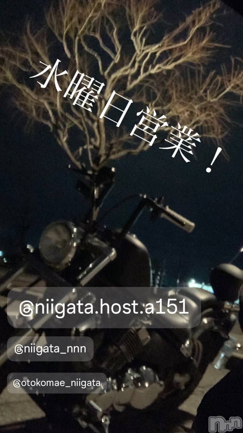 ��Į�ۥ��ȡ��ܡ������С�A151(�����������ݥ���) ��2025ǯ3��12���̥�֥����ֿ�������