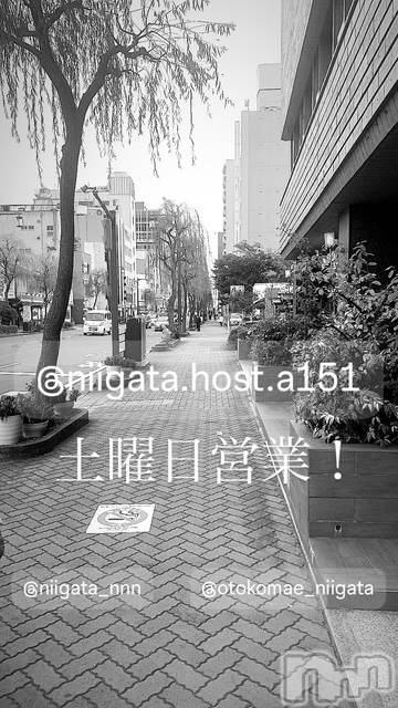 ��Į�ۥ��ȡ��ܡ������С�A151(�����������ݥ���) ��2025ǯ3��15���̥�֥�������������