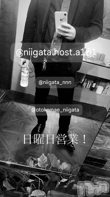 ��Į�ۥ��ȡ��ܡ������С�A151(�����������ݥ���) ��2025ǯ3��16���̥�֥�������������