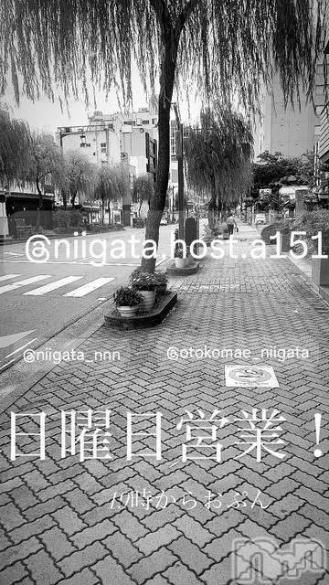 ��Į�ۥ��ȡ��ܡ������С�A151(�����������ݥ���) ��2025ǯ3��23���̥�֥�������������