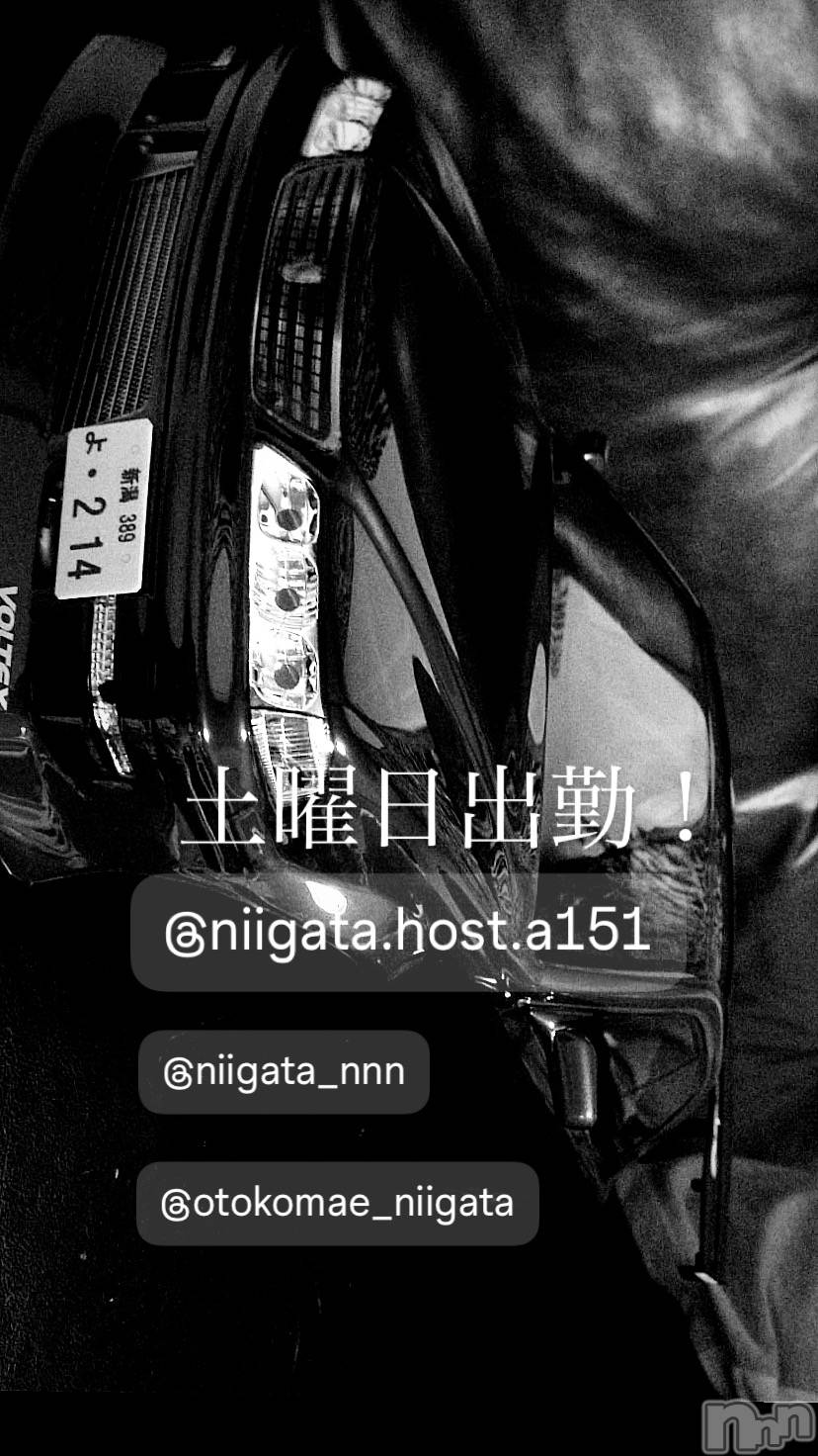 ��Į�ۥ��ȡ��ܡ������С�A151(�����������ݥ���) ��2025ǯ3��29���̥�֥�������������