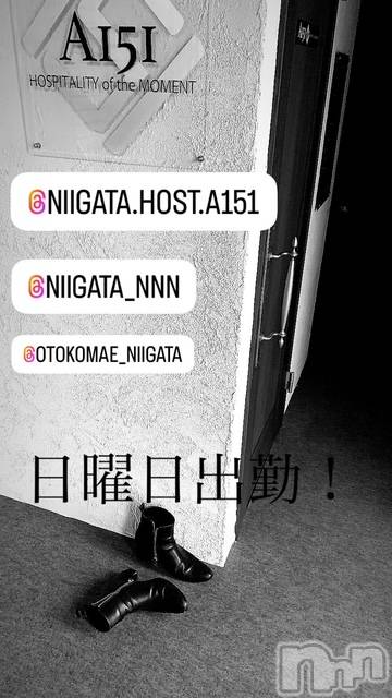 ��Į�ۥ��ȡ��ܡ������С�A151(�����������ݥ���) ��2025ǯ3��30���̥�֥�������������