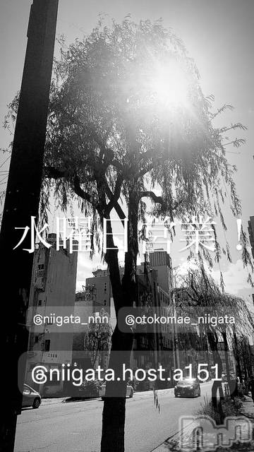 ��Į�ۥ��ȡ��ܡ������С�A151(�����������ݥ���) ��2025ǯ4��2���̥�֥����ֿ�������